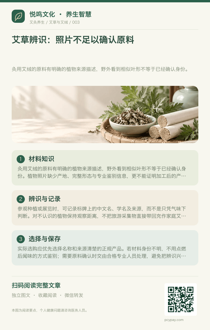 艾草照片辨识有局限分享海报